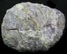 Crystal Filled Dugway Geode #33191-1
